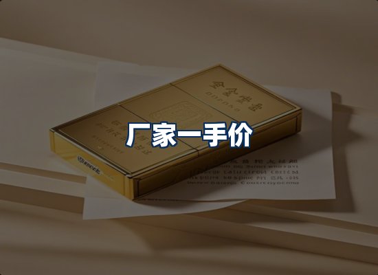 专业团队办公环境